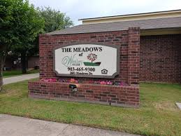 Meadows Of Wesley Village, The